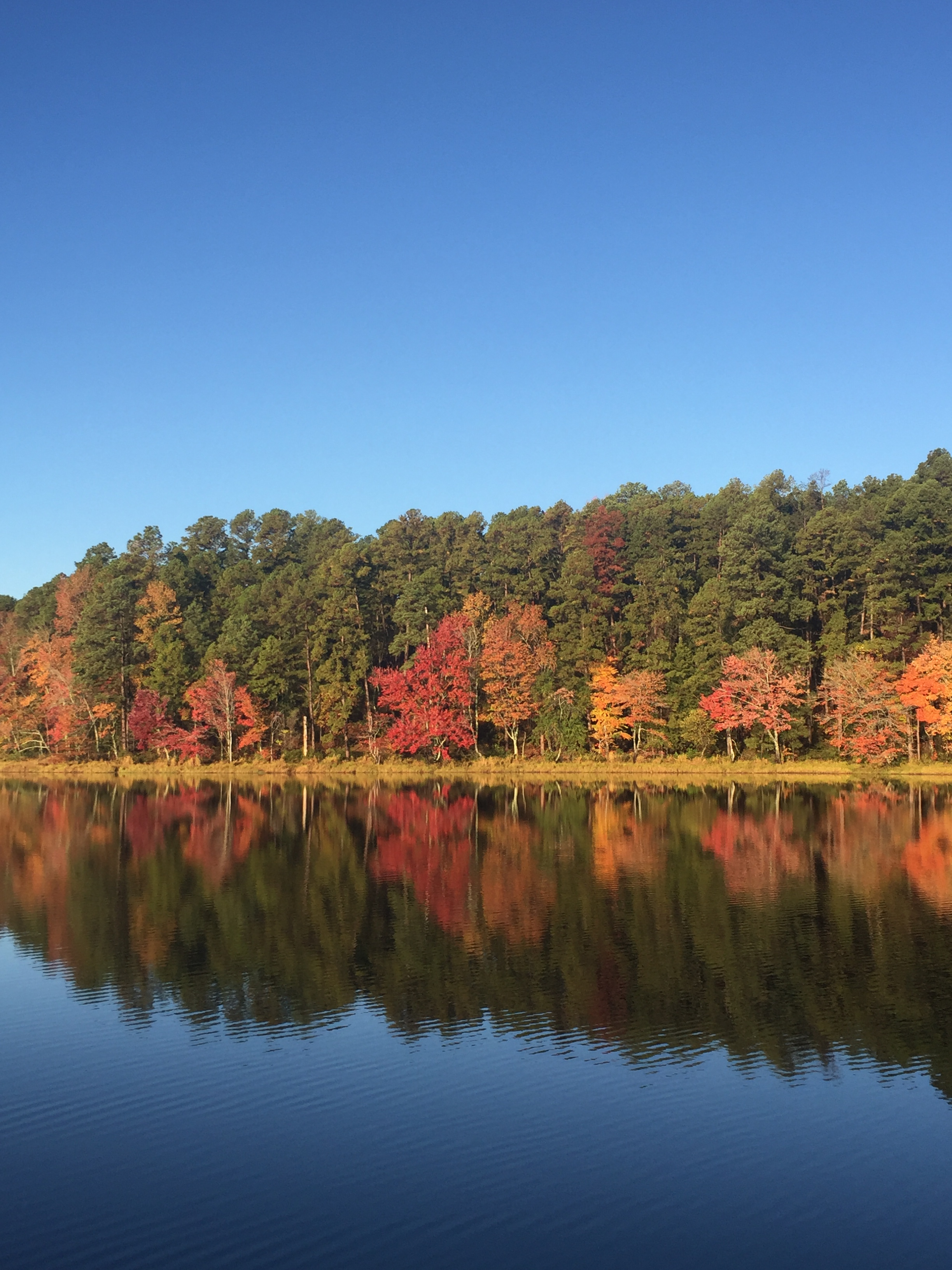 Texas Parks Wildlife Department